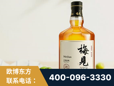 淮南-梅见青梅酒